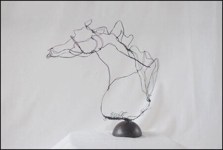Equus 1 fil de fer 40cm