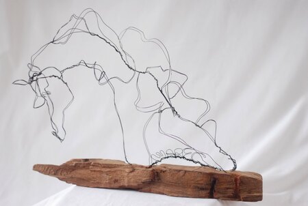 Equus 2 fil de fer 40x50 cm