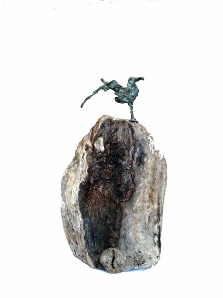 OISEAU SUR LA FALAISE  bronze et bois flott&eacute;