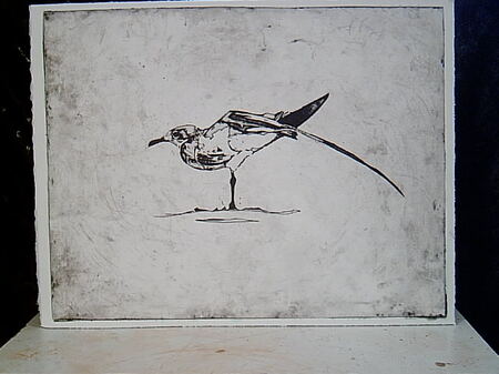 Gravure : oiseau