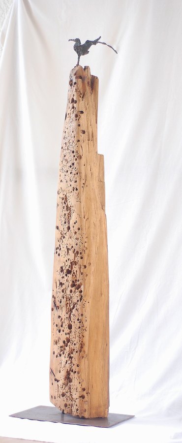 Oiseau sur la falaise - bronze sur bois IV/IV