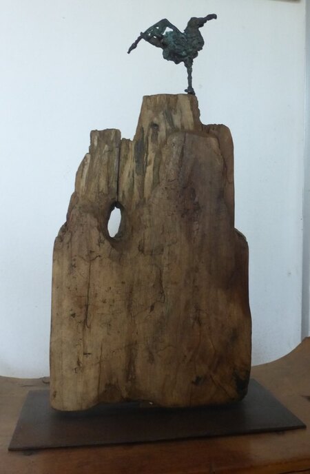 oiseau  sur falaise bronze et bois de pirogue